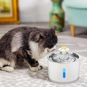 Frischwasser Fontäne für Katzen